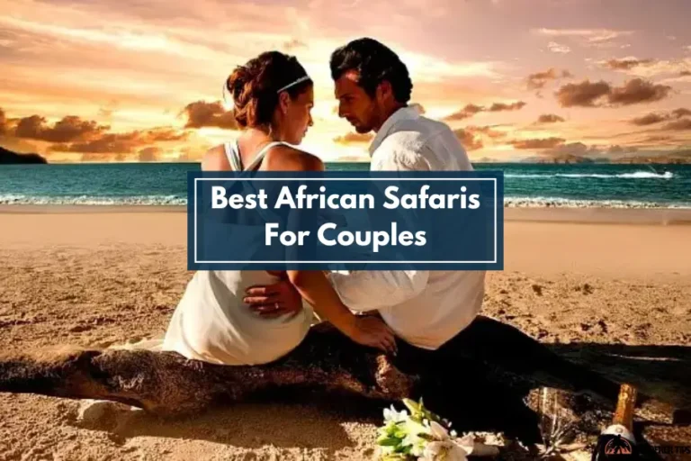 Best African Safaris For Couples 2024
