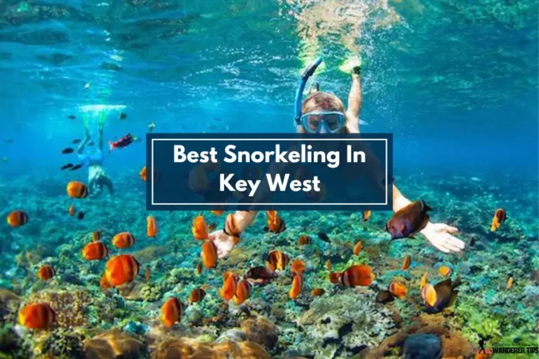 Best Snorkeling In Key West [5 Spectacular Snorkeling Spots ]