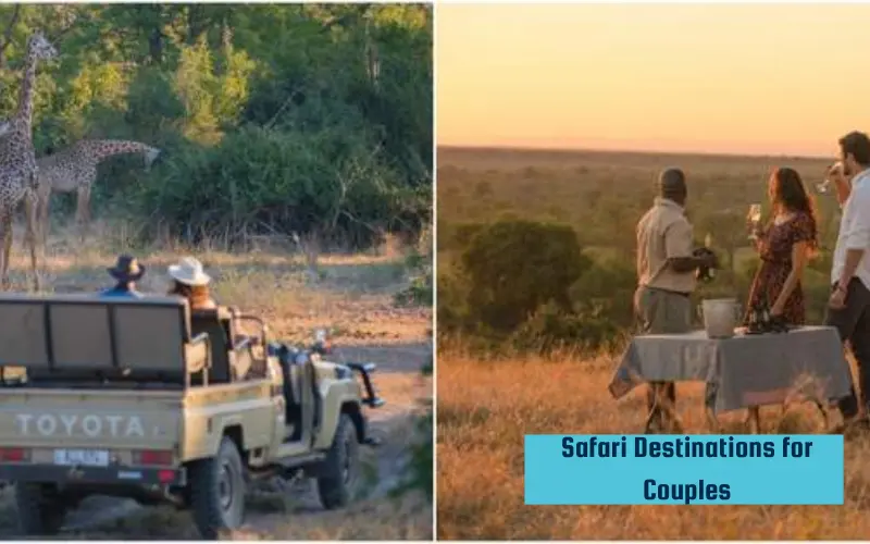 Safari Destinations for Couples