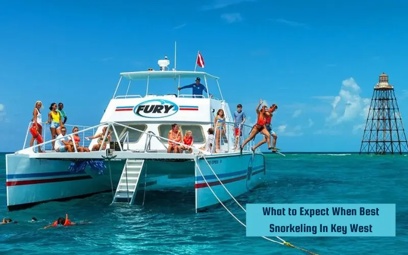 What to Expect When Best Snorkeling In Key West