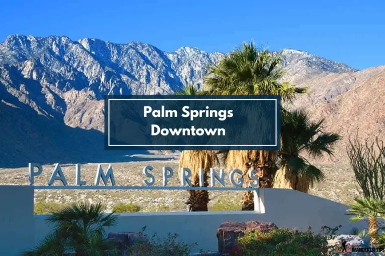 Palm Springs Downtown [10 Amazing Spots to check out]