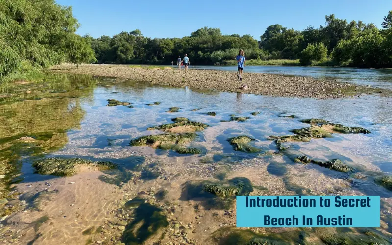Introduction to Secret Beach In Austin