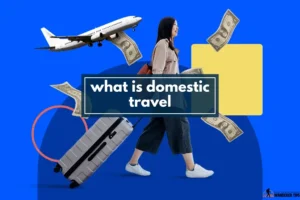 what is domestic travel
